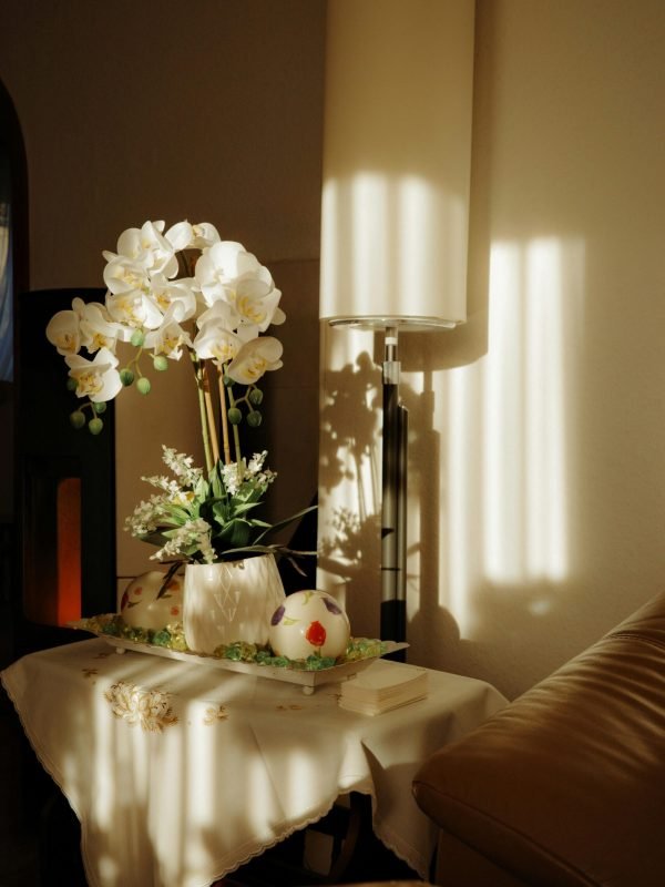 pexels-bobby-torrio-2151472483-31693084